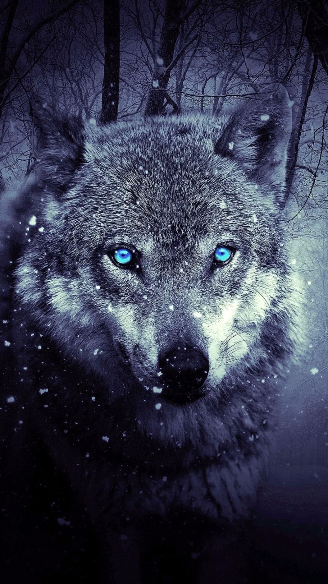 iPhone 6 Wolf HD Wallpapers