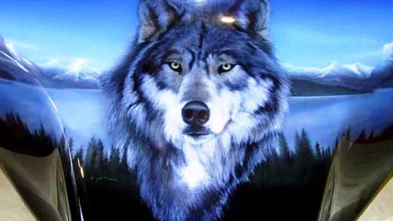 Wolf Wallpapers For Computer