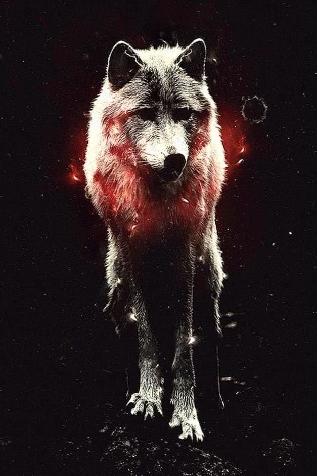 White Wolf Wallpapers For iPhone