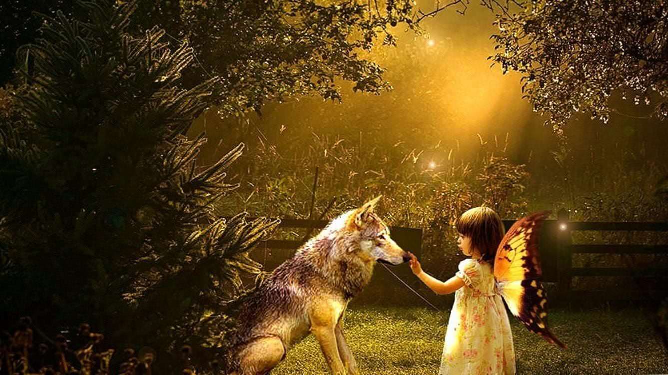 Wolf And Girl HD Wallpapers