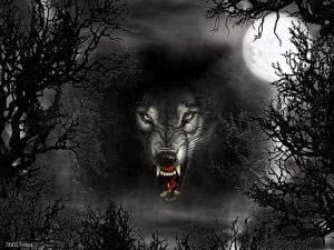 Scary Wolf Wallpapers HD