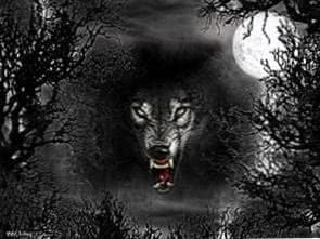 Evil Wolf HD Wallpapers