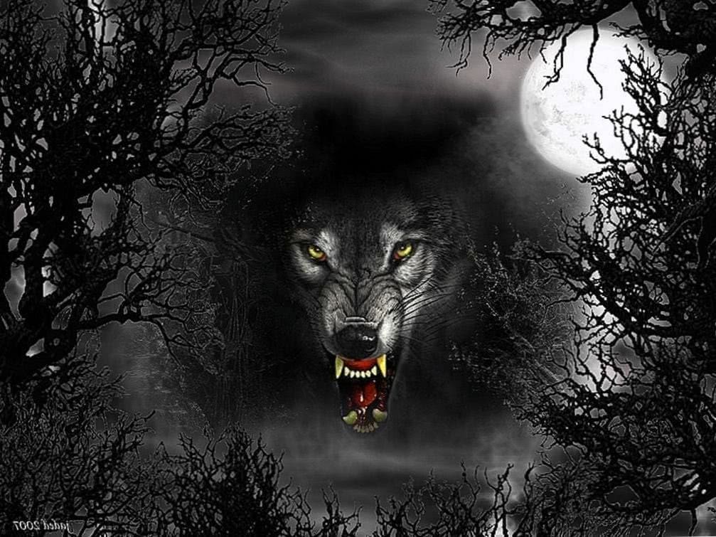 Dark Evil Wolf Wallpaper Image 1