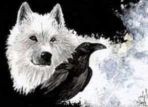 Wallpapers Wolf And Crow