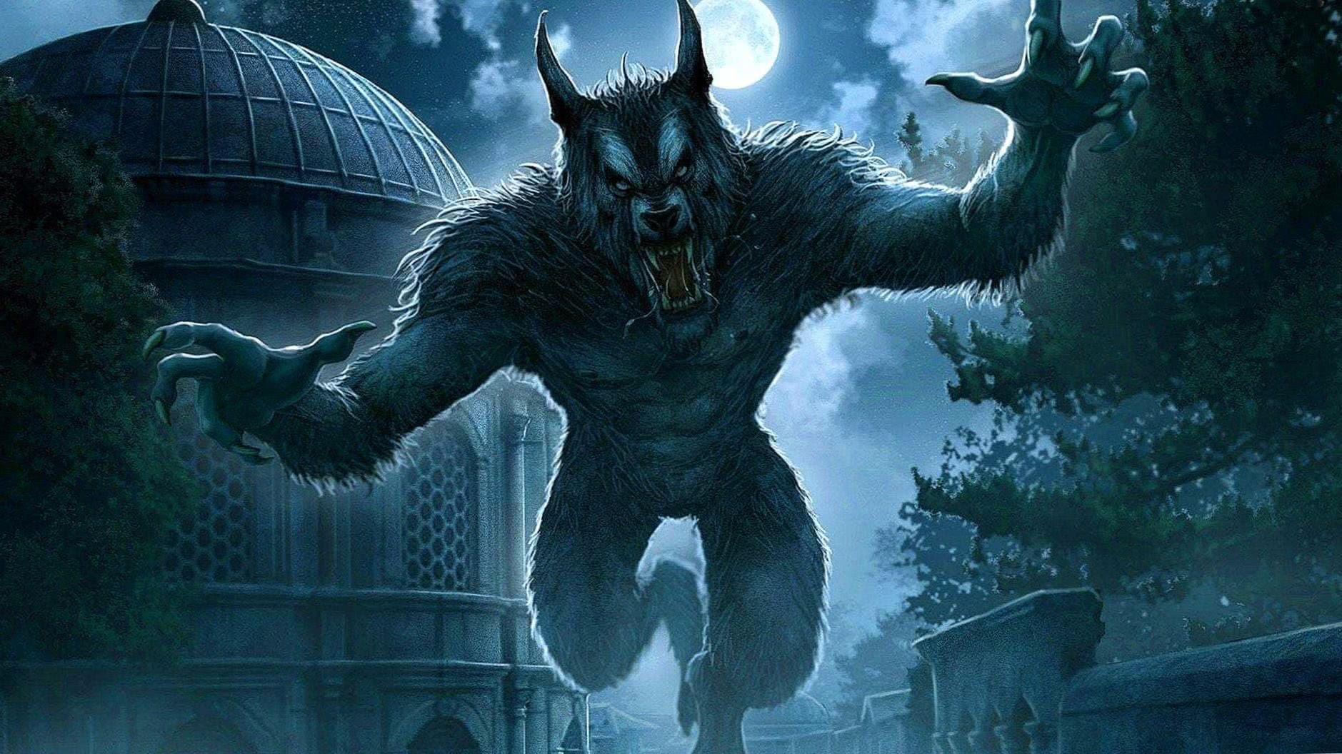 Werewolf Phone Wallpapers