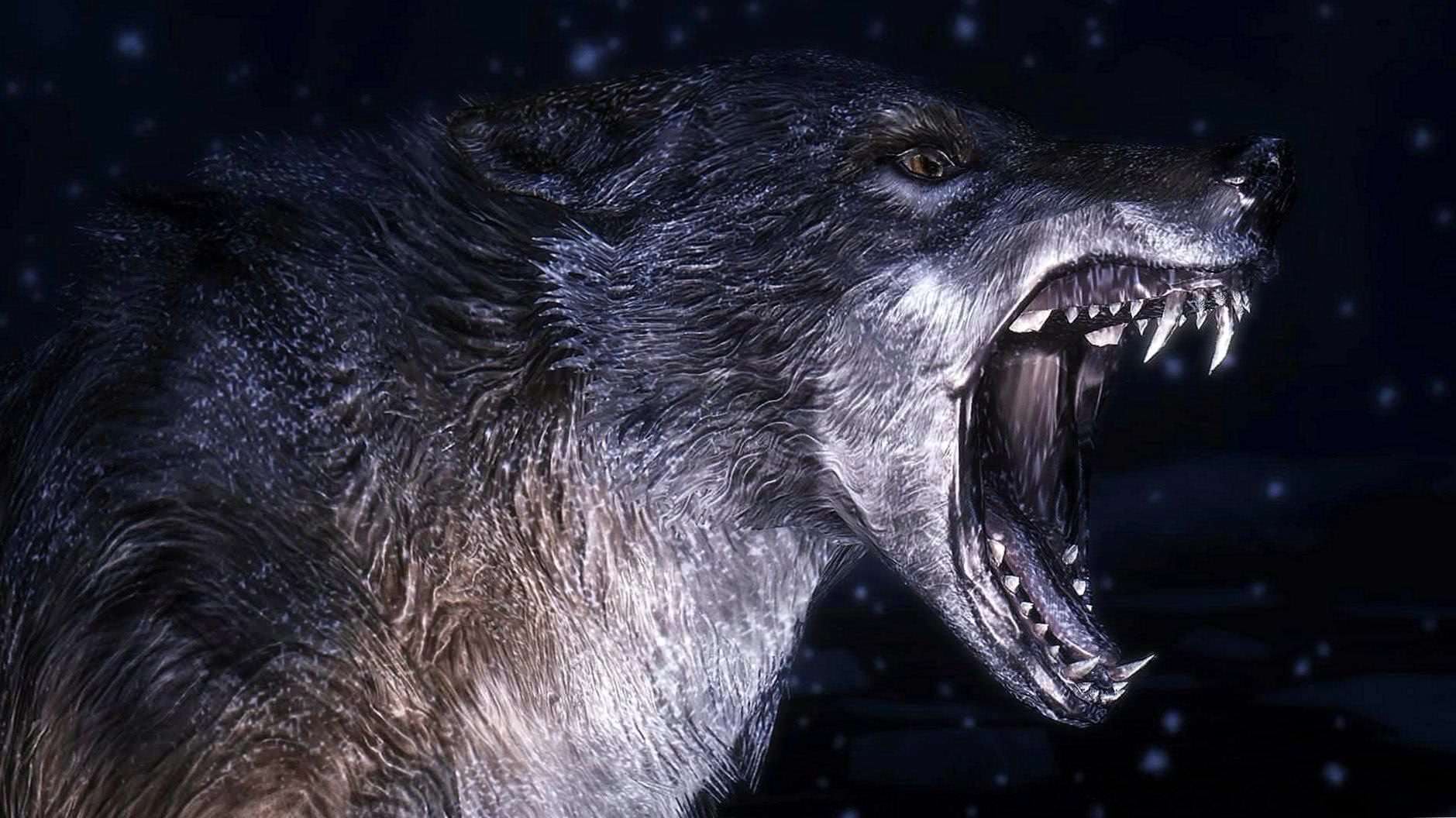 Roaring Wolf Wallpaper Image 1