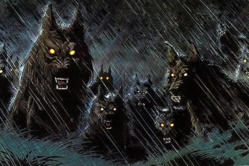  Werewolf  Mobile HD  Wallpapers  Wolf Wallpapers  Pro