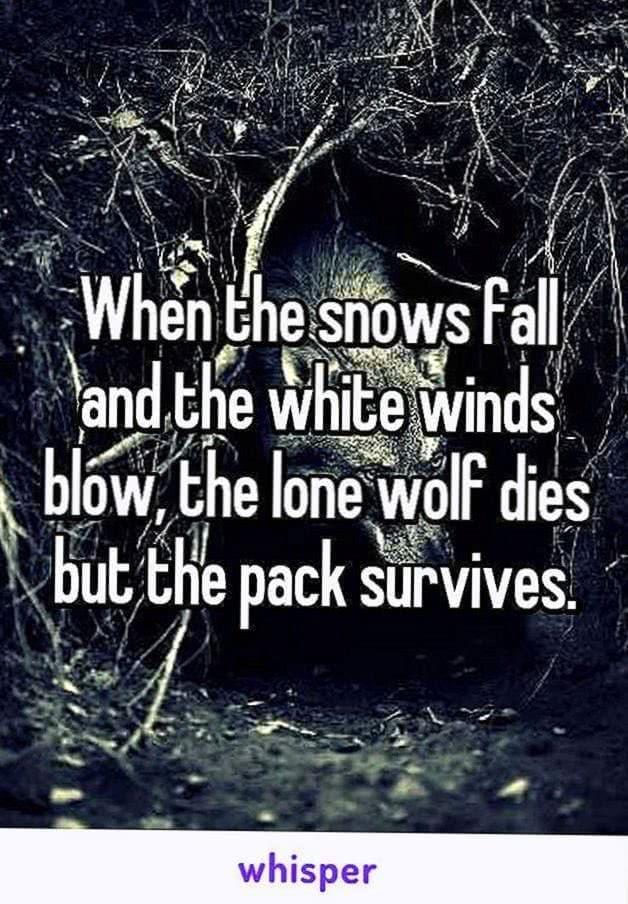 The Lone Wolf Dies But The Pack Survives Wallpapers