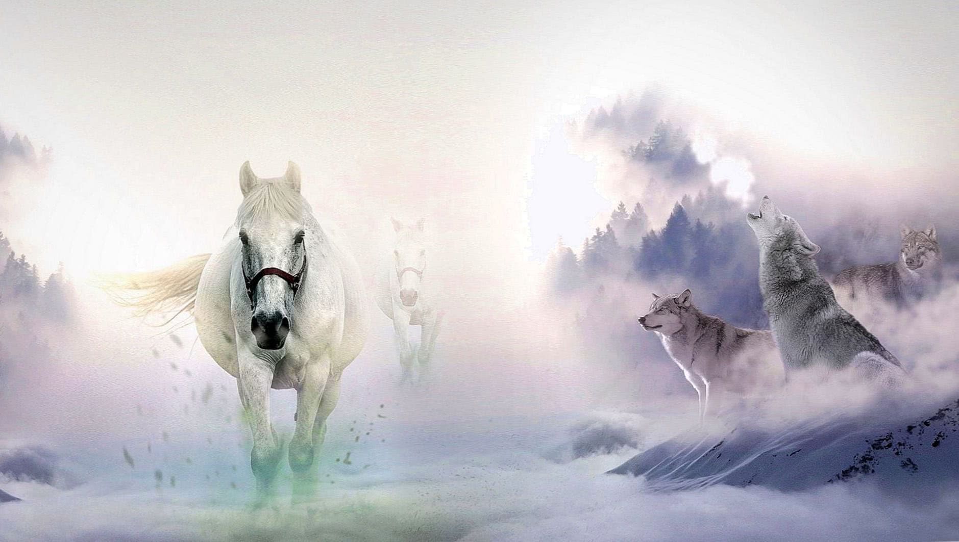 Wallpapers Wolves And Horses