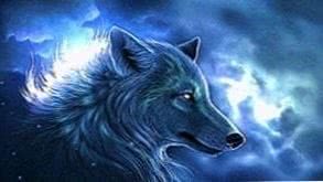 Wolf Epic Wallpapers