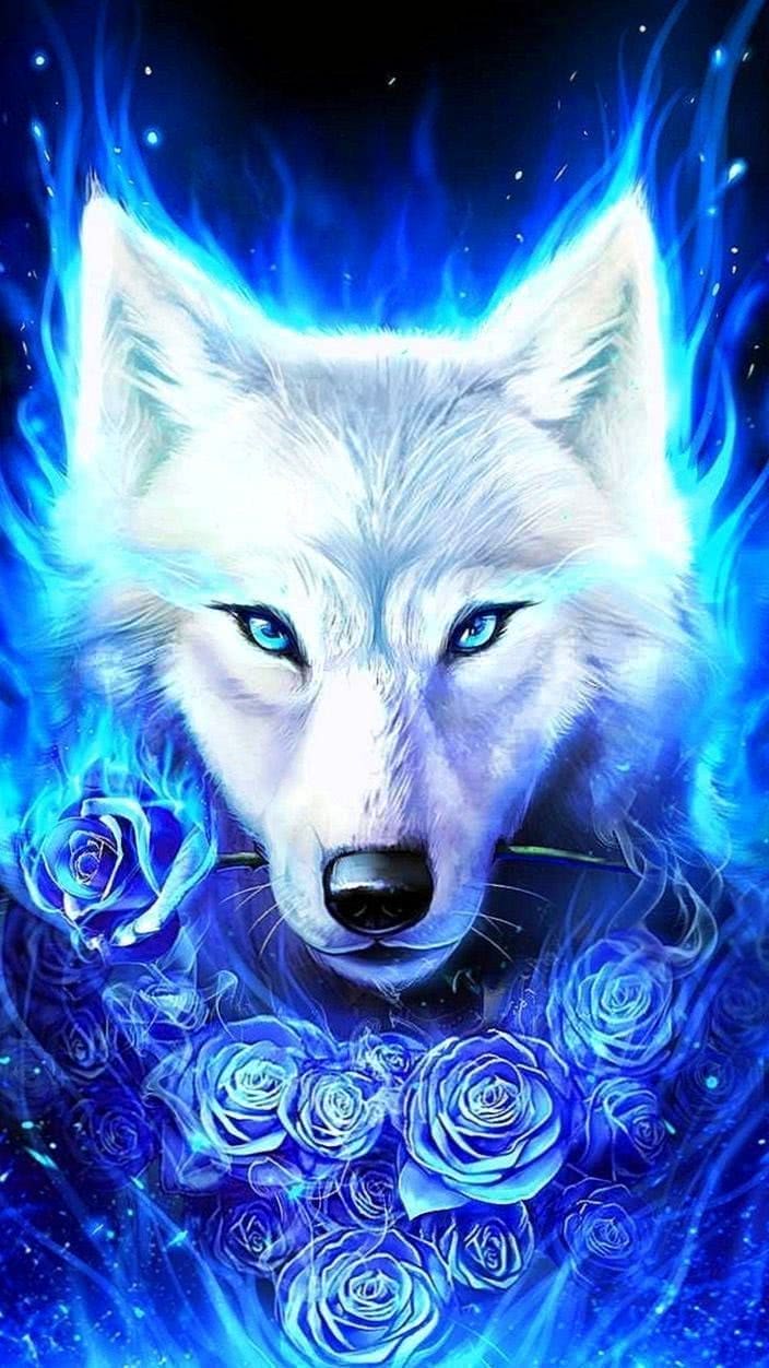 wolf and rose wallpaper background image 3
