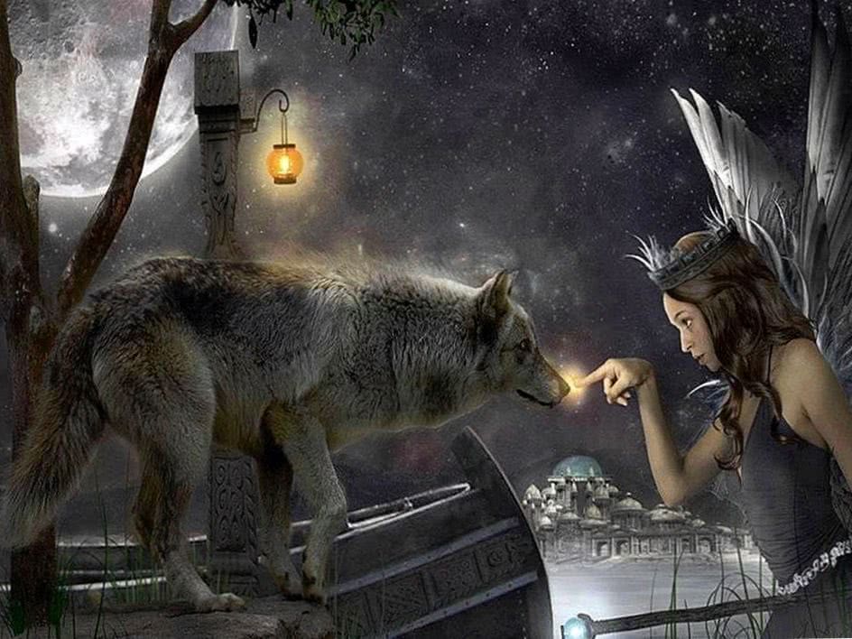 Wallpaper Wolf And Fairy Image 1