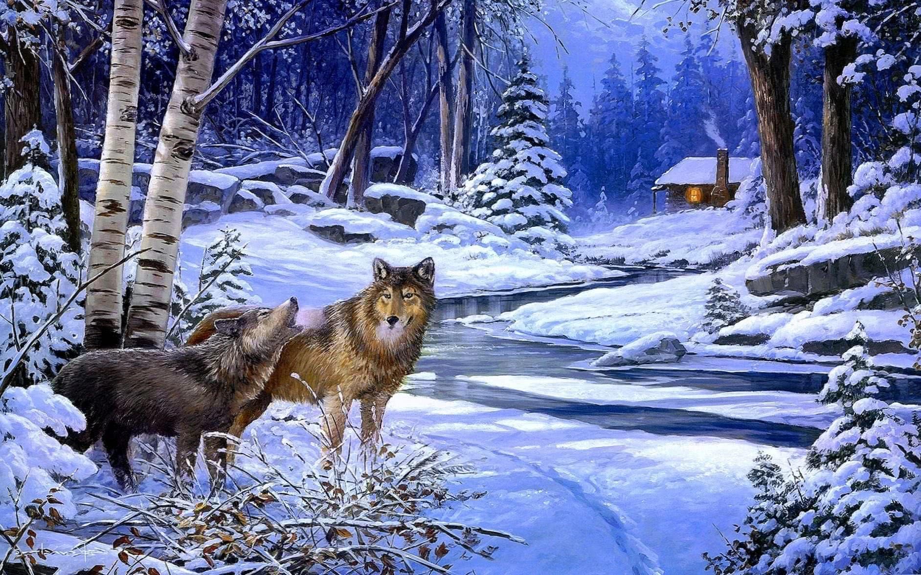 Winter Wolves Desktop Wallpapers