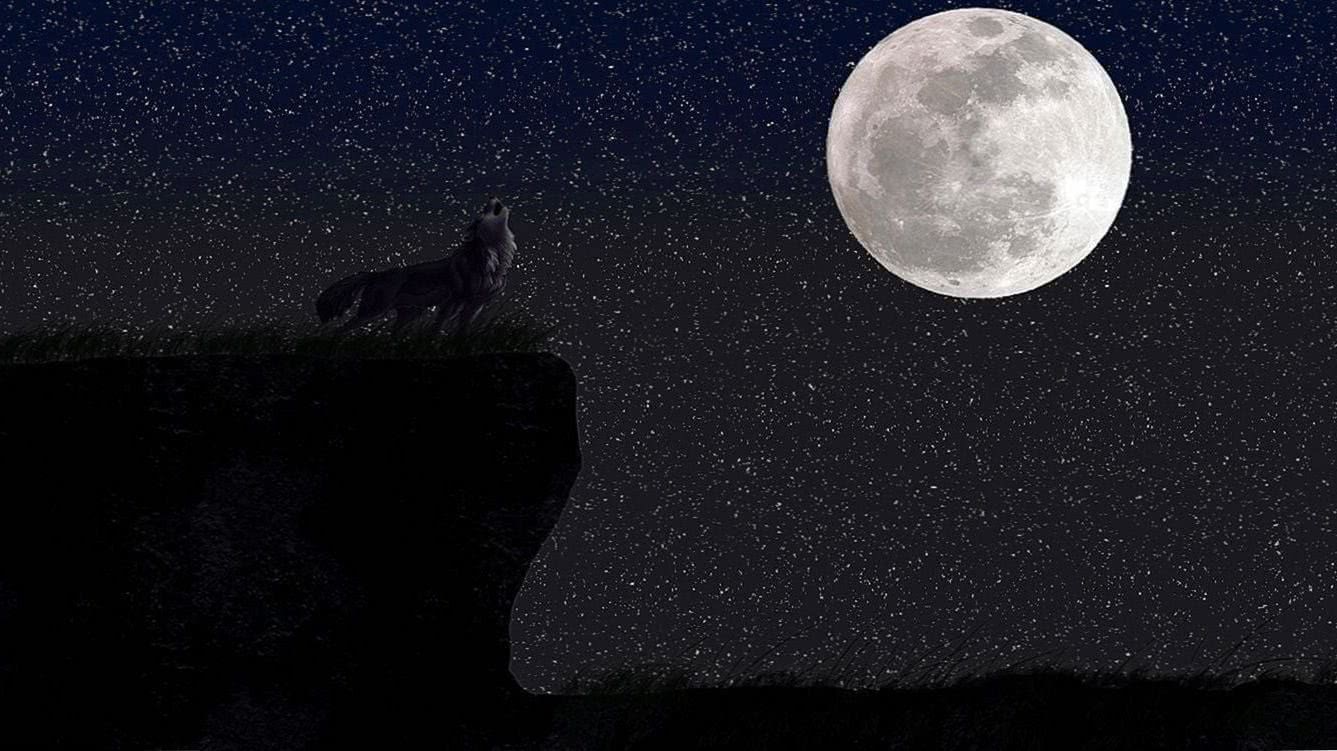 the wolf and the moon wallpaper hd background image 5