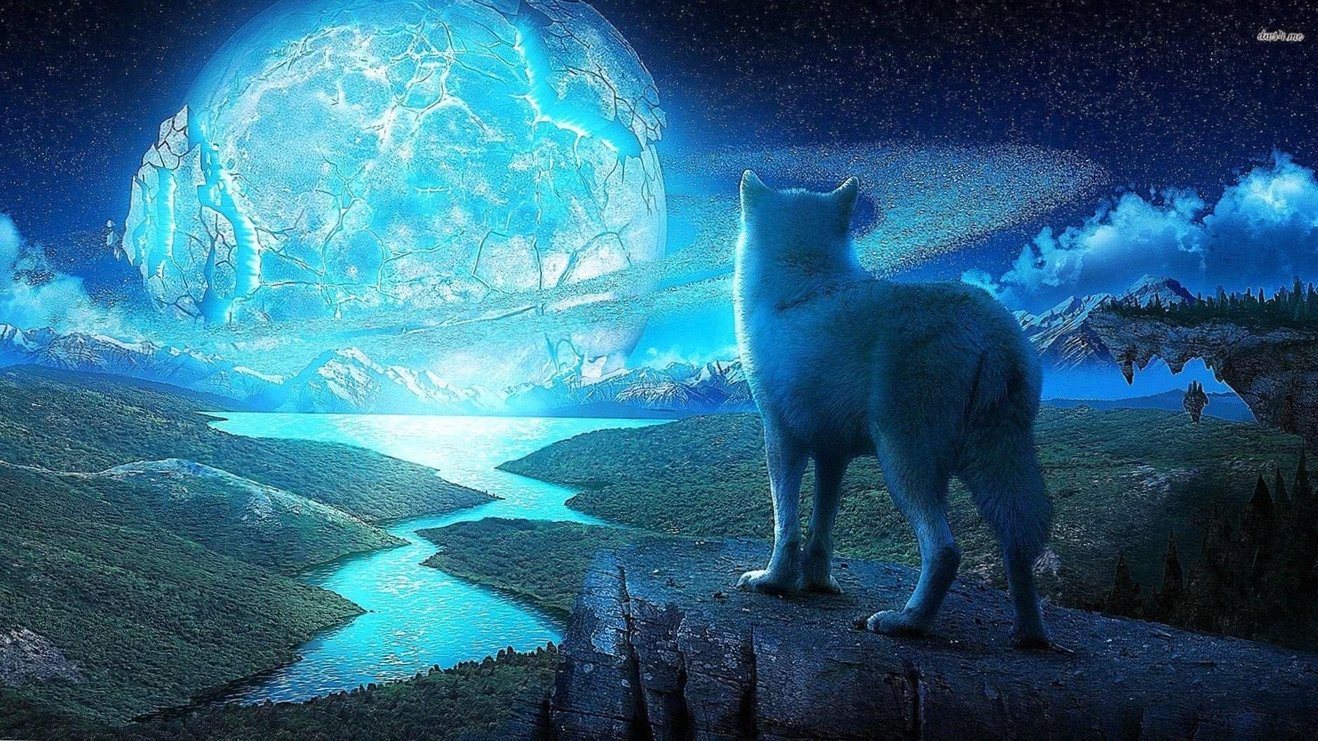 the wolf and the moon wallpaper hd background image 4