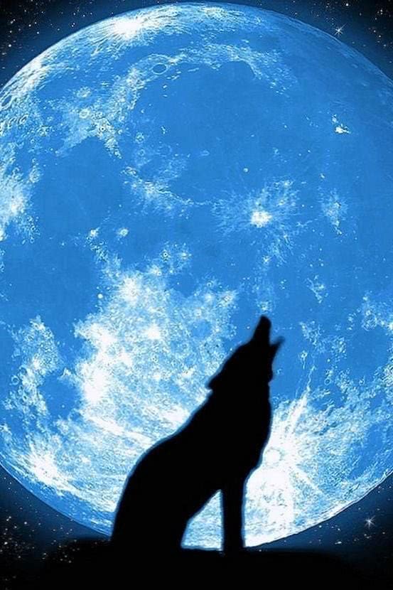 Wolf And Moon iPad Wallpaper Image 1