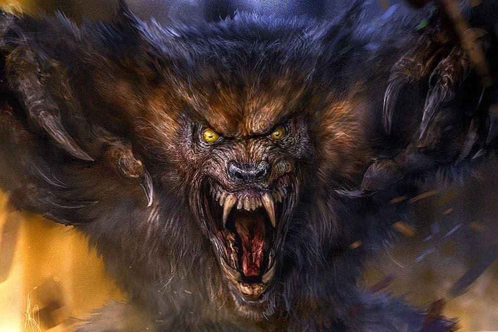 free wolf wallpapers beast wolf wallpapers pro https wolf wallpapers pro wolf wallpapers beast