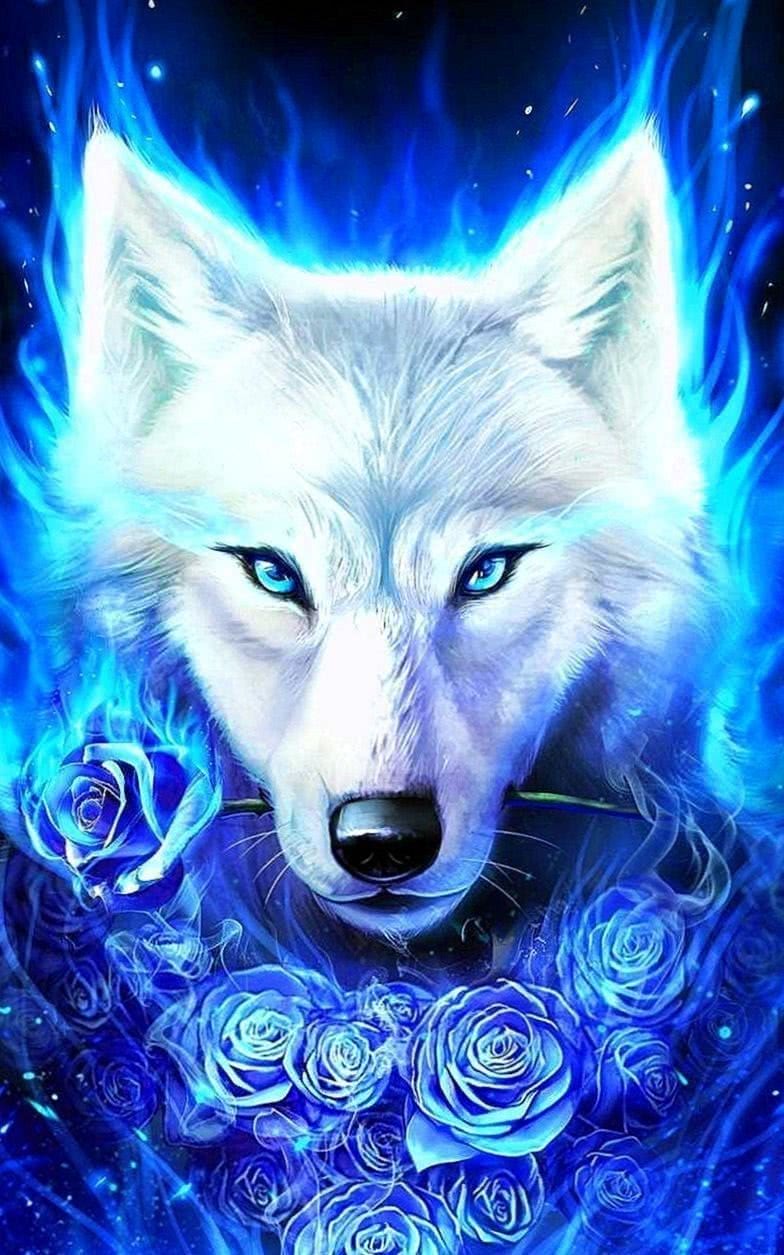 rose wolf wallpaper background image 2