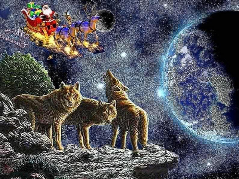 Christmas Wolf Wallpaper Image 1
