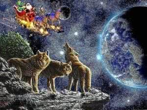 Wolf Christmas Wallpaper Image 1