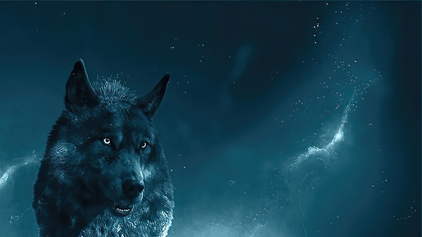 Wolf Wallpapers For Chromebook