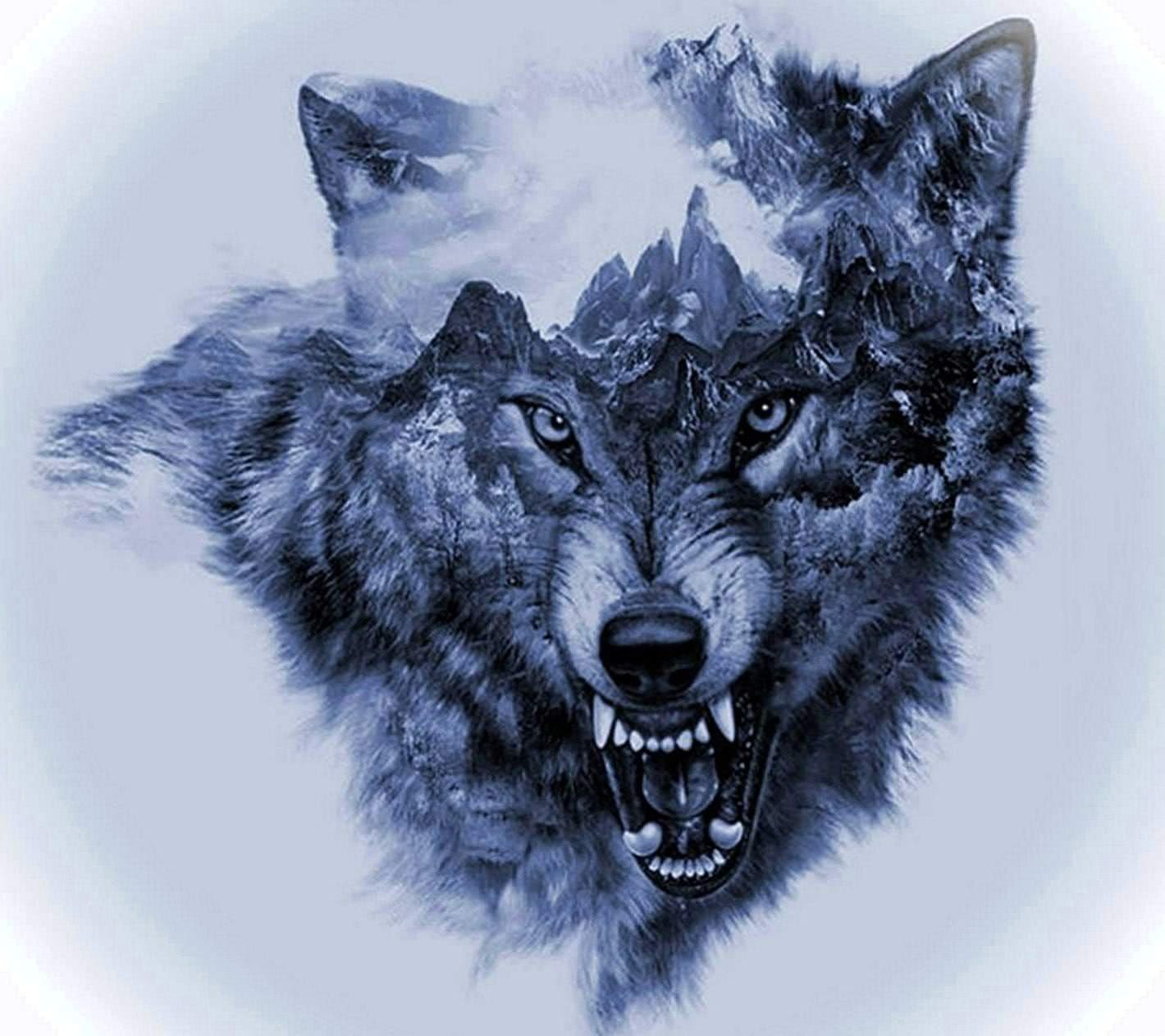 Wolf Danger Wallpapers