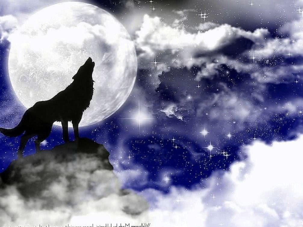 Lone Wolf Theme Wallpaper Image 1