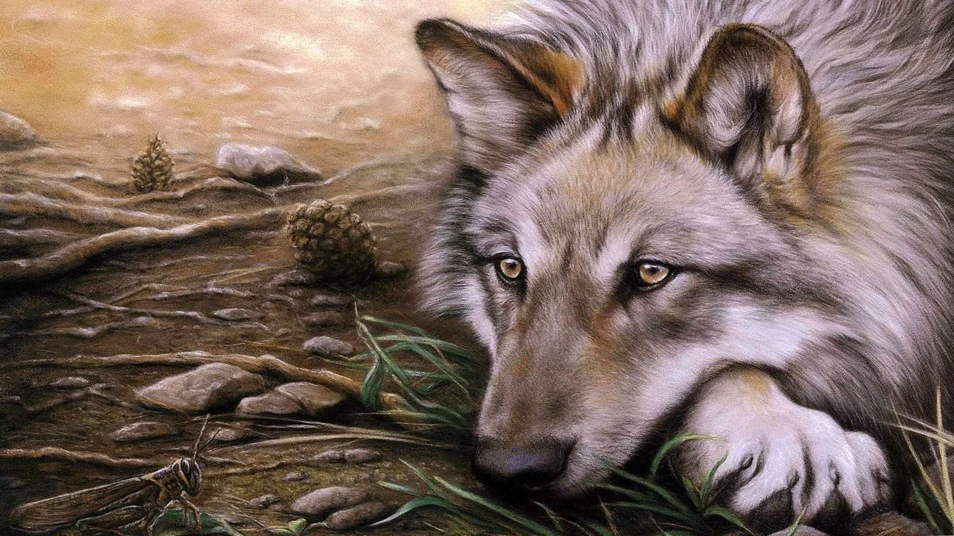 Wallpaper Drawing Wolf Image 1