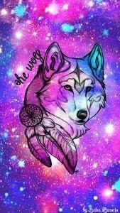 Cute Wolf Wallpaper Drawing Image 1