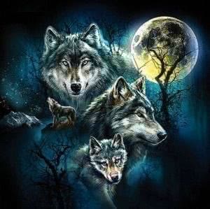 Wolf Wallpaper Puzzles Image 1