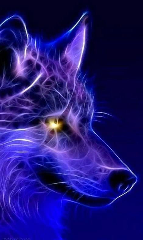 Cool Animal Wallpapers Light Wolf