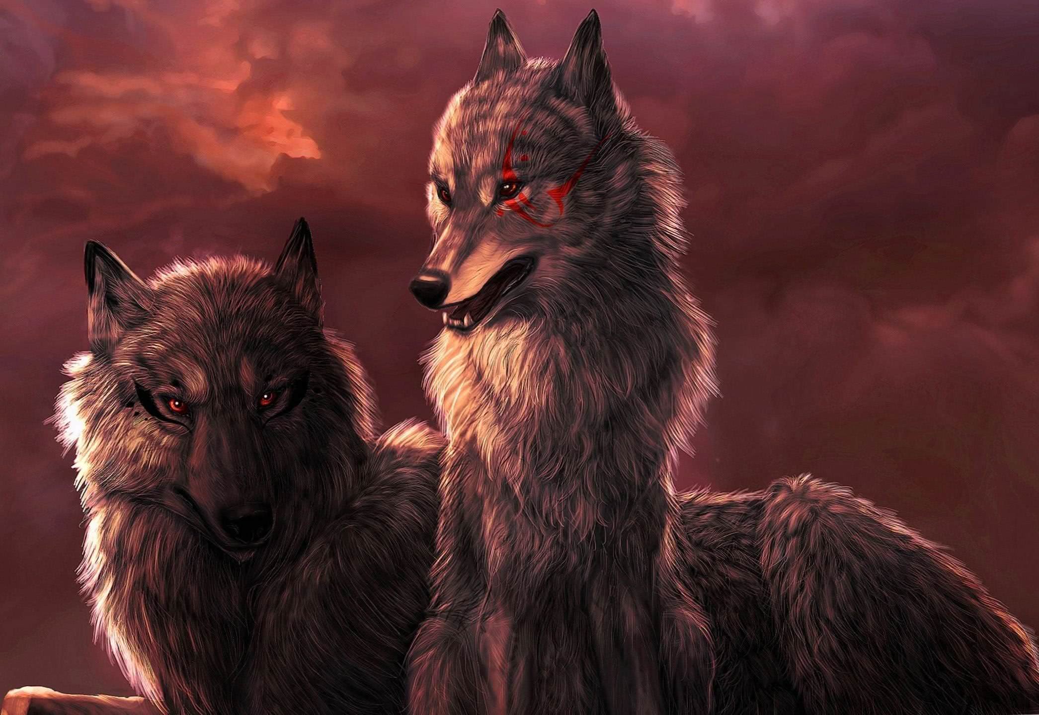 Wallpapers Wolf Red Eyes