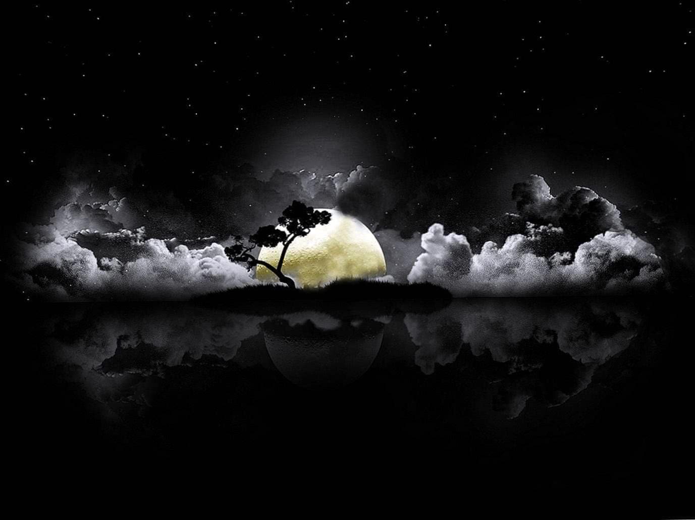 Full Moon Wolf Wallpapers HD