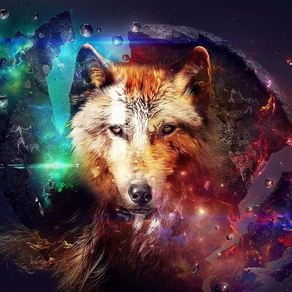 wolf hd wallpaper ipad background image 2