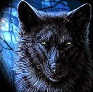 Wolf Wallpapers HTC