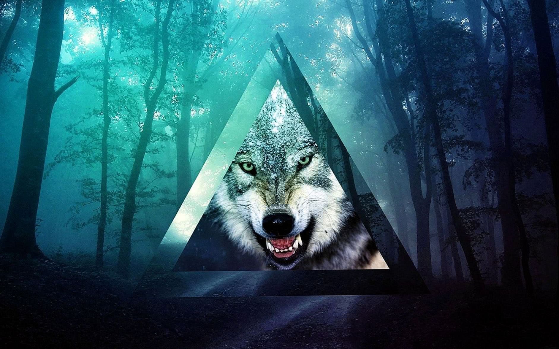 Wolf HD Wallpapers Desktop