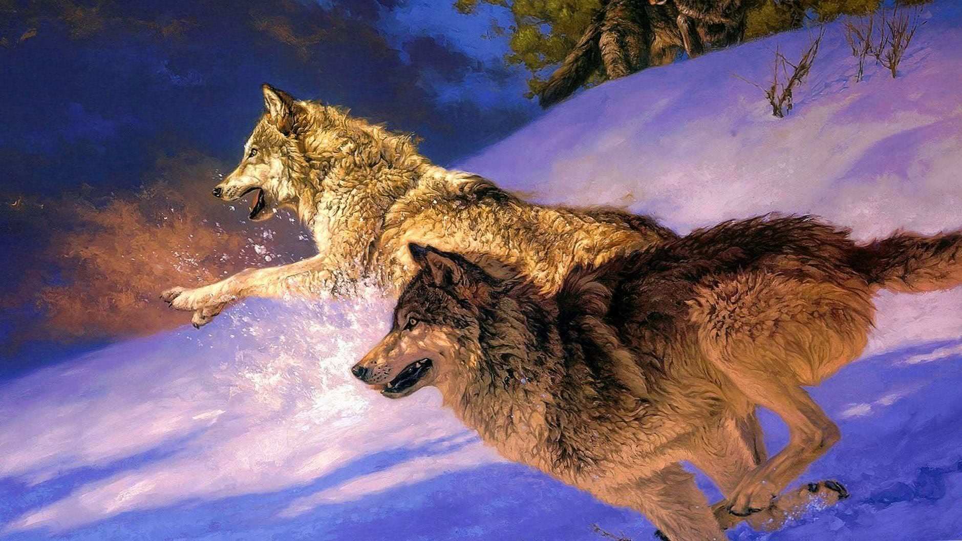 Wolf Attack Wallpaper Image 1
