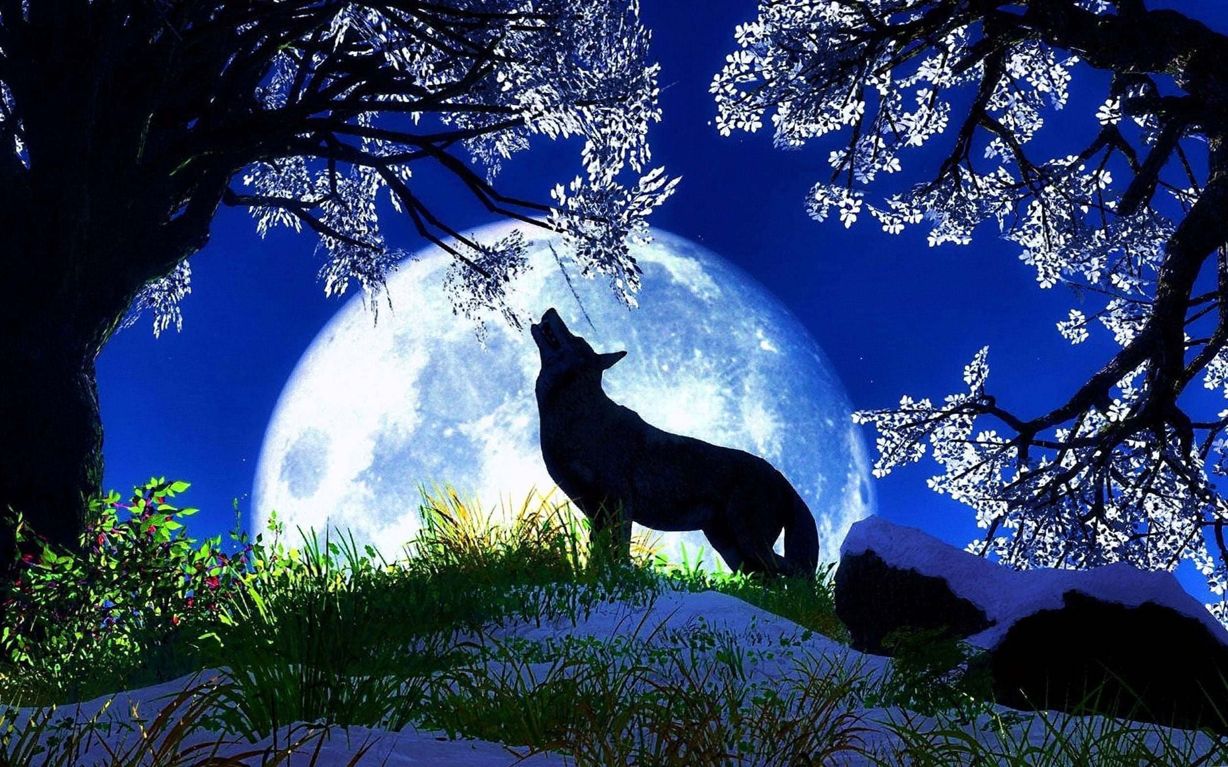wolf howling at full moon wallpaper background image 5