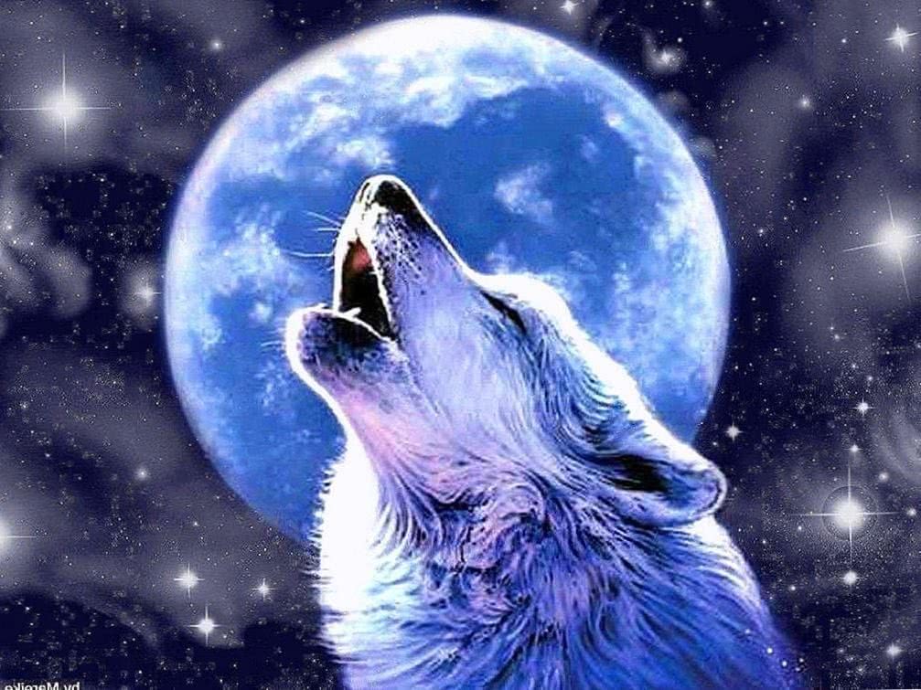 wolf howling at the red moon wallpaper background image 6