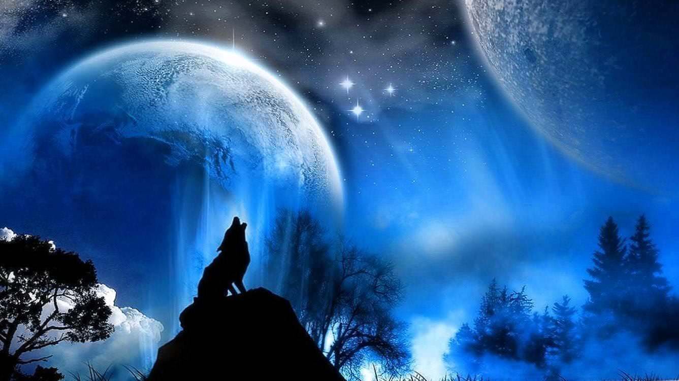 Wolf Howling Night Wallpaper Image 1