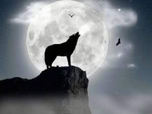 Black And White Wolf Howling At The Moon Wallpaper Image 1
