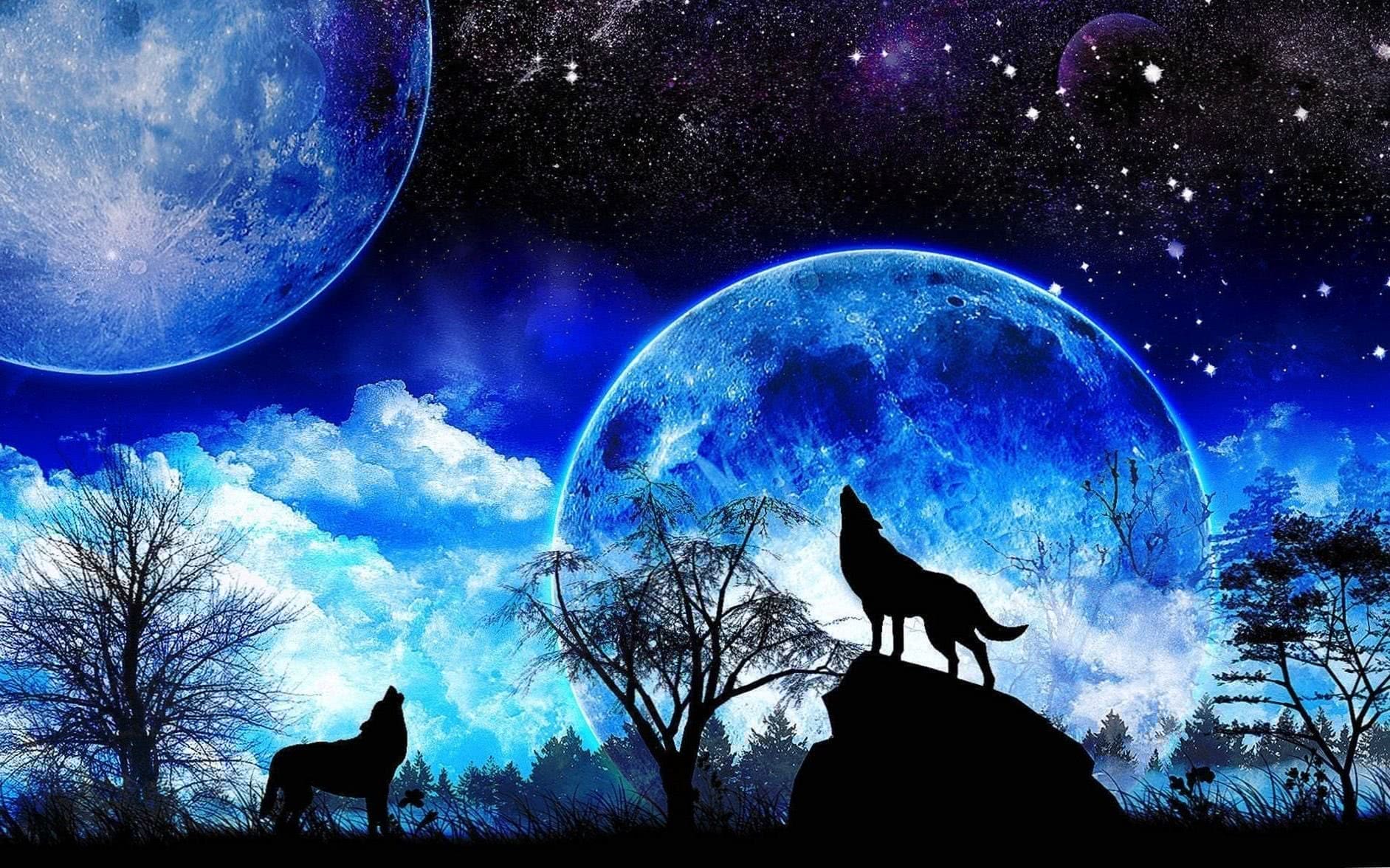 Wolf Howling Wallpapers For Mobile