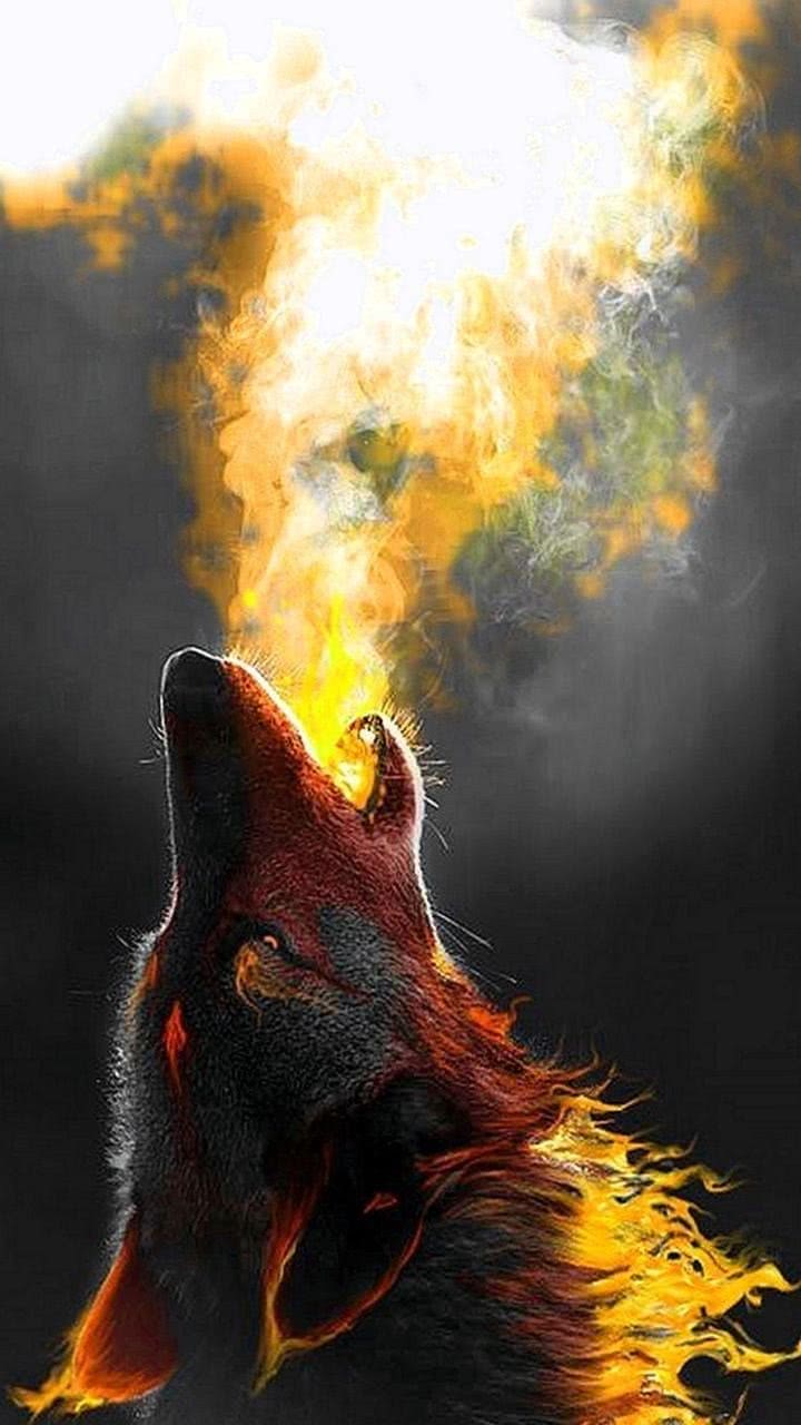 cool wolf wallpaper for iphone background image 3