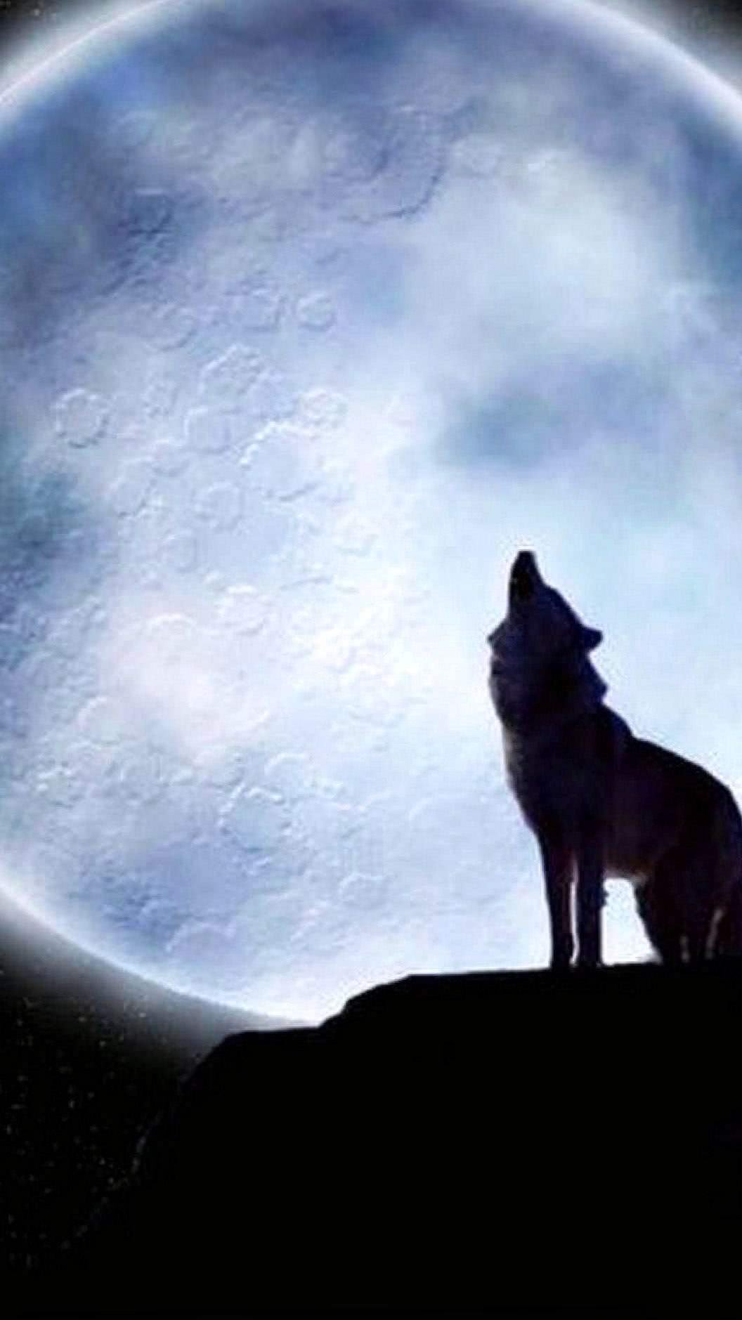 Wallpapers Lone Wolf iPhone