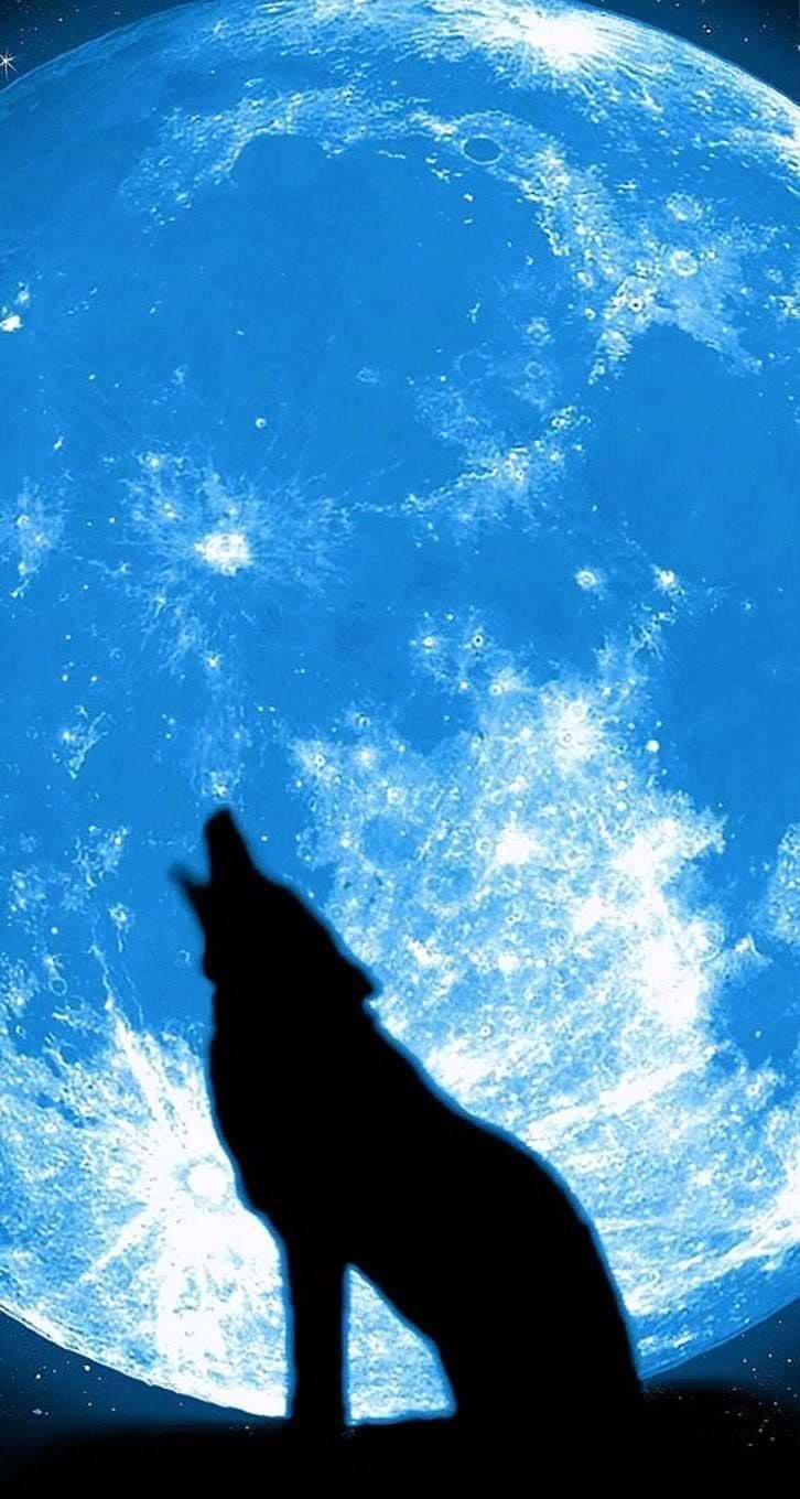 Wolf Howling At The Moon iPhone Wallpapers