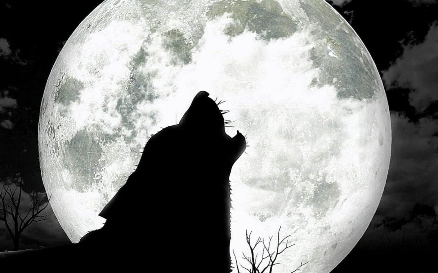 Wolf Moon HD Wallpapers
