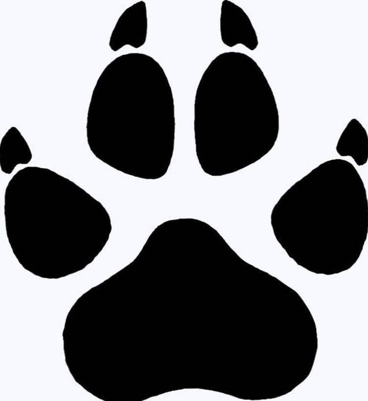 Wolf Paw Wallpapers