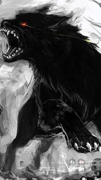 dark wolf mobile wallpaper background image 3