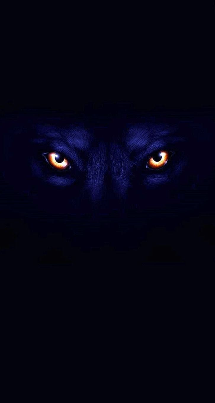 Black Wolf Face HD Wallpapers