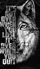 Wolf Motivational Wallpapers
